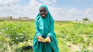 Grow Nigeria Together